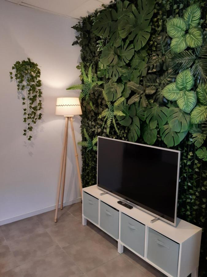 Tropical Garden Apartment Alicante Dış mekan fotoğraf