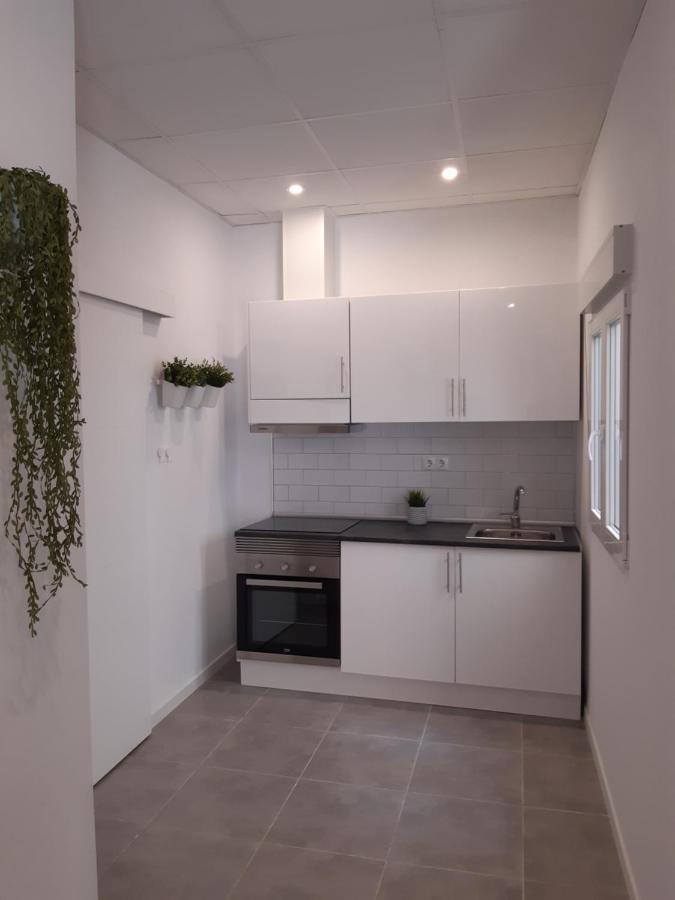 Tropical Garden Apartment Alicante Dış mekan fotoğraf